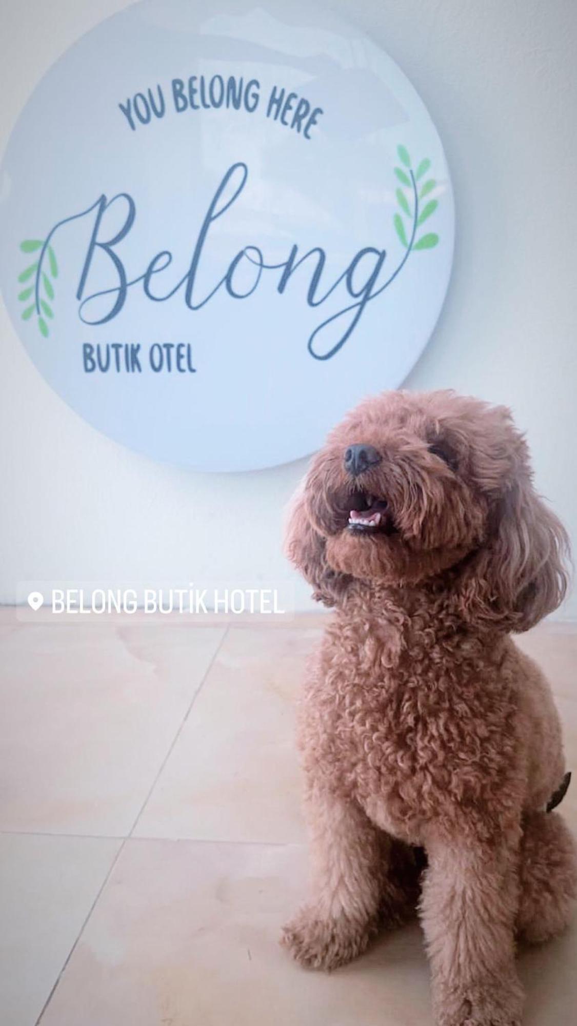 Belong Butik Otel Çeşme Exteriör bild
